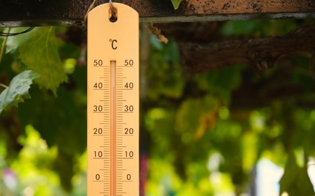 Verwenden Sie mentale Mathematik, um Fahrenheit in Celsius umzurechnen