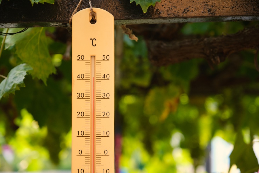 Verwenden Sie mentale Mathematik, um Fahrenheit in Celsius umzurechnen
